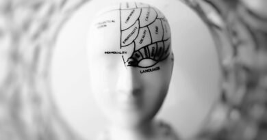 Brain